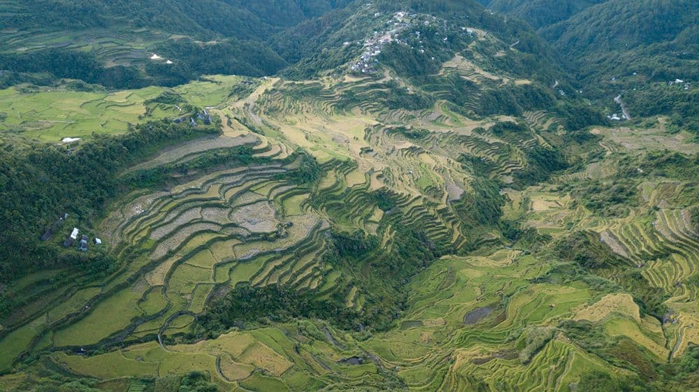 Bontoc image