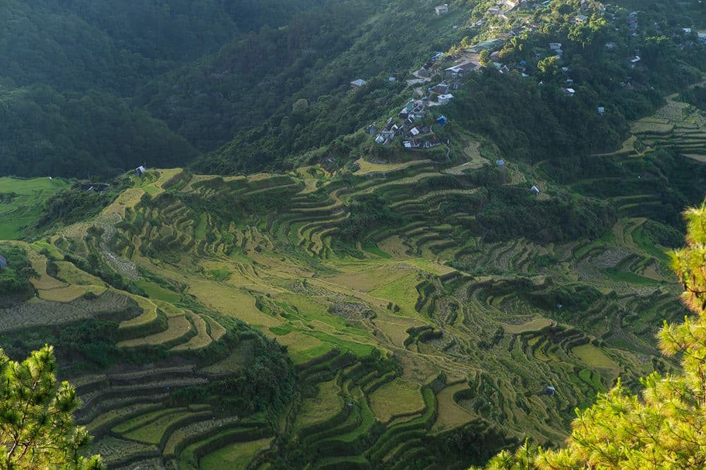 Bontoc image 1