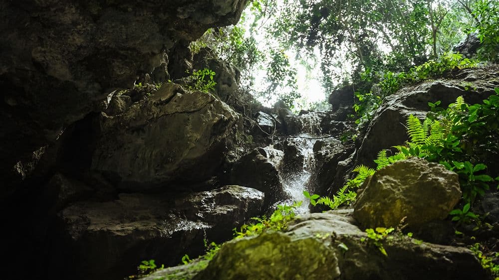 Sagada image 4