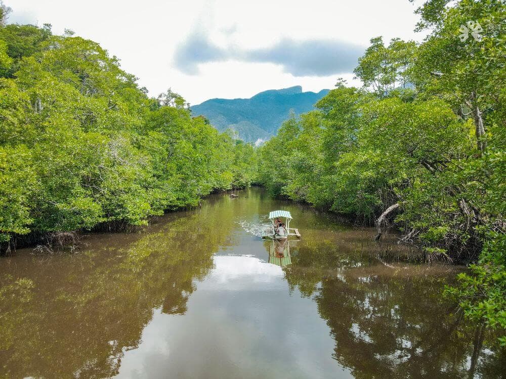 Puerto Princesa image 4