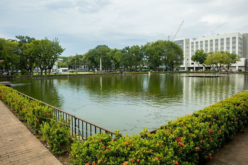 Bacolod image 2