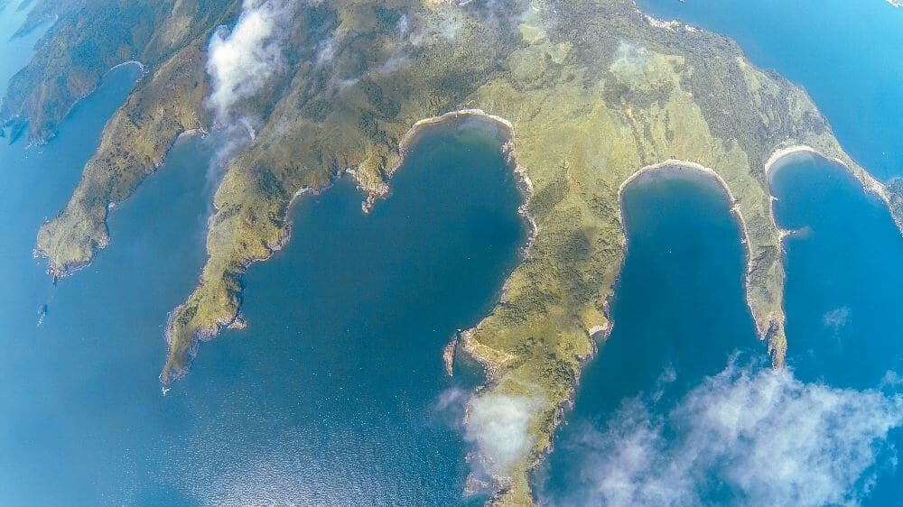 Freeport Area of Bataan image 2